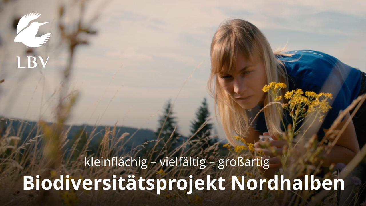 Biodiversitätsprojekt "Nordhalben: kleinflächig – vielfältig – großartig"